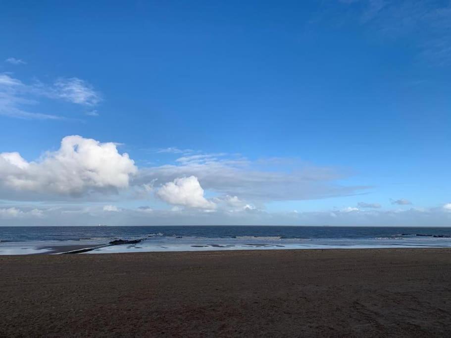 Top Studio Knokke Bij Zeedijk! Eksteriør billede