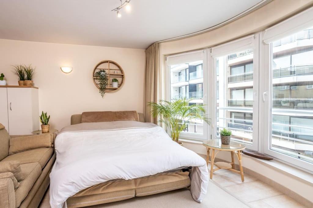 Top Studio Knokke Bij Zeedijk! Eksteriør billede