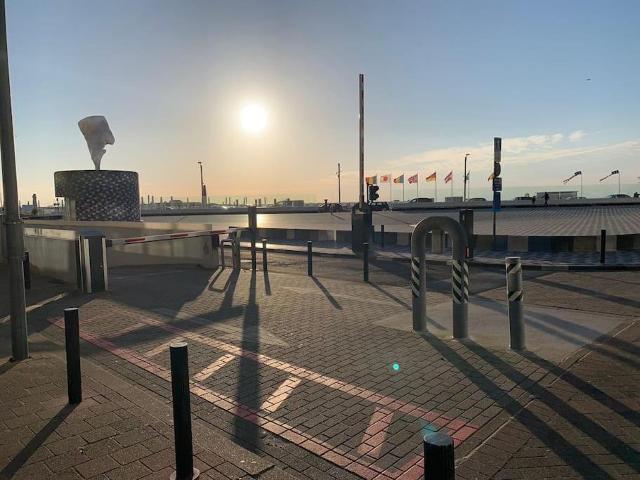 Top Studio Knokke Bij Zeedijk! Eksteriør billede