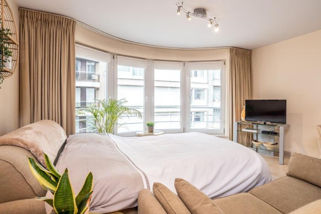 Top Studio Knokke Bij Zeedijk! Eksteriør billede